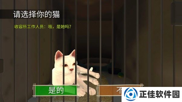 顽皮猫生活模拟